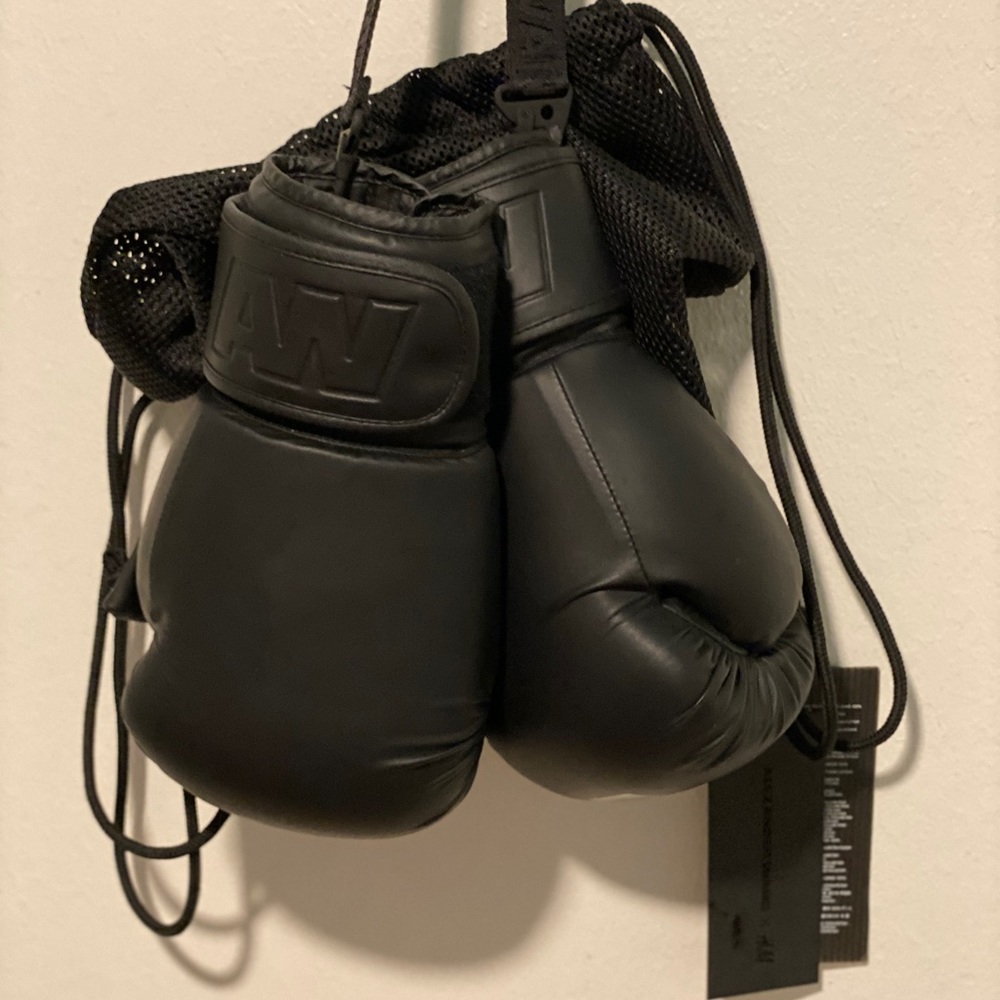 Alexander Wang x H&M